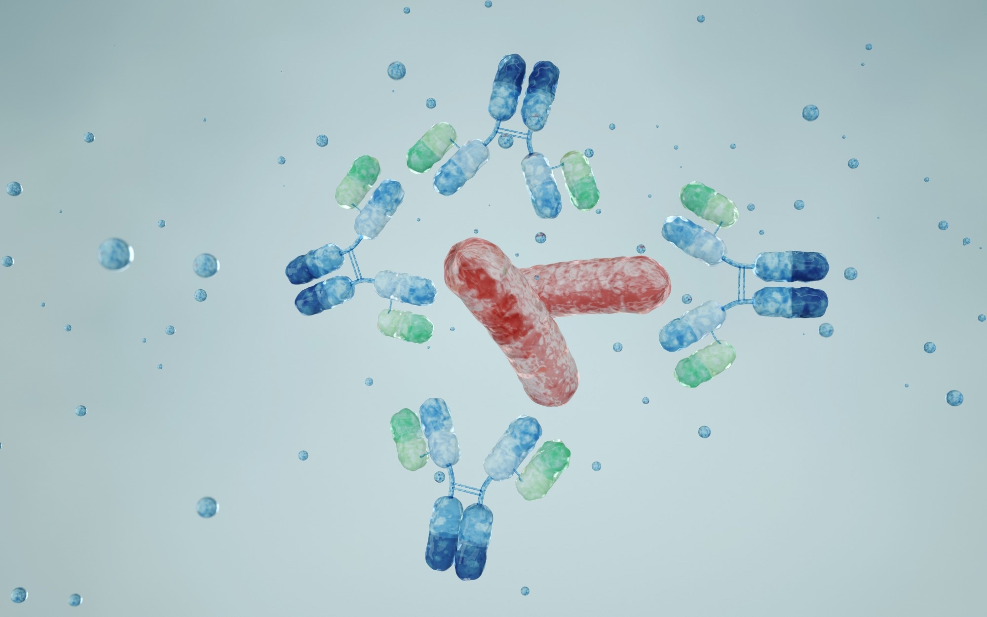 Illustration of engineered monoclonal antibodies binding to a target antigen, representing therapeutic antibody development and biopharmaceutical engineering.