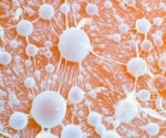 What Is Transmissible Cancer and How Does It Spread?