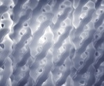 The Role of Collagen in Cancer Progression and Fibrosis