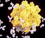 Immunoprecipitation and its Applications
