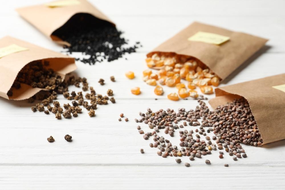 Seeds