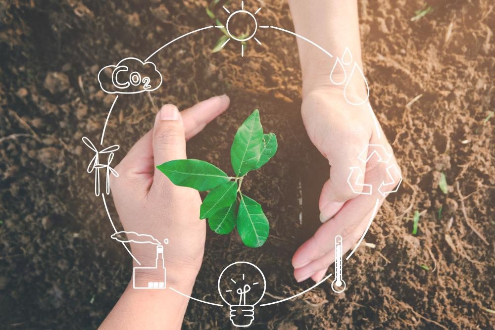 Sustainable Agriculture