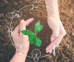 What has COP26 taught us about Sustainable Agriculture?