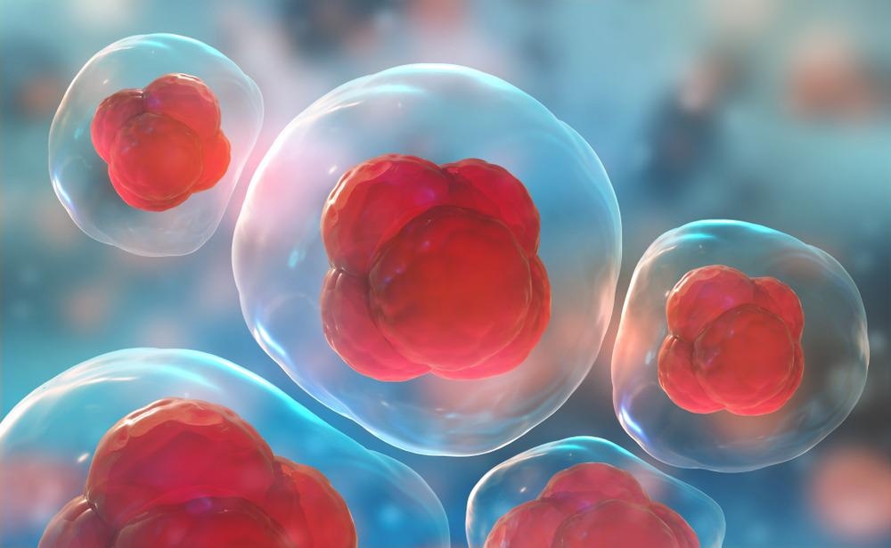 Stem Cells