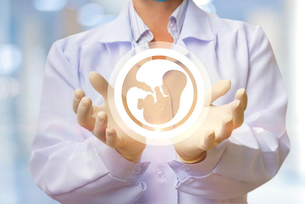 Embryo