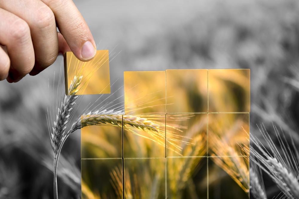 Food Security Concept