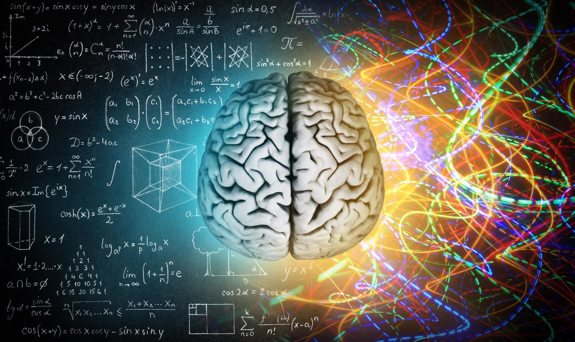 Brain