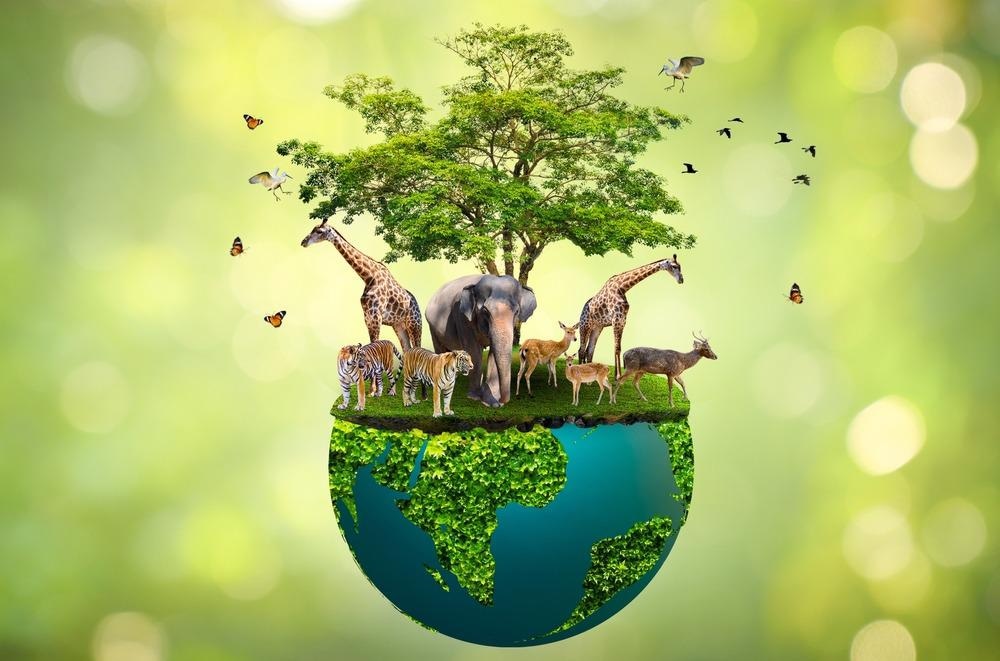 Wildlife Conservation