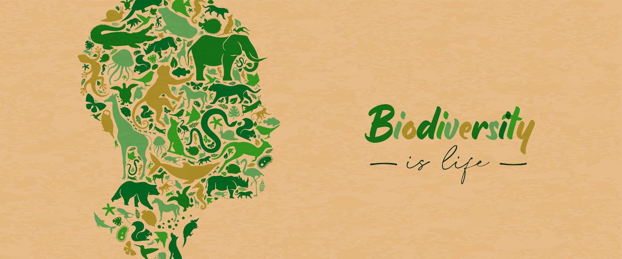 Biodiversity