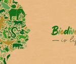 Solving the Biodiversity Crisis