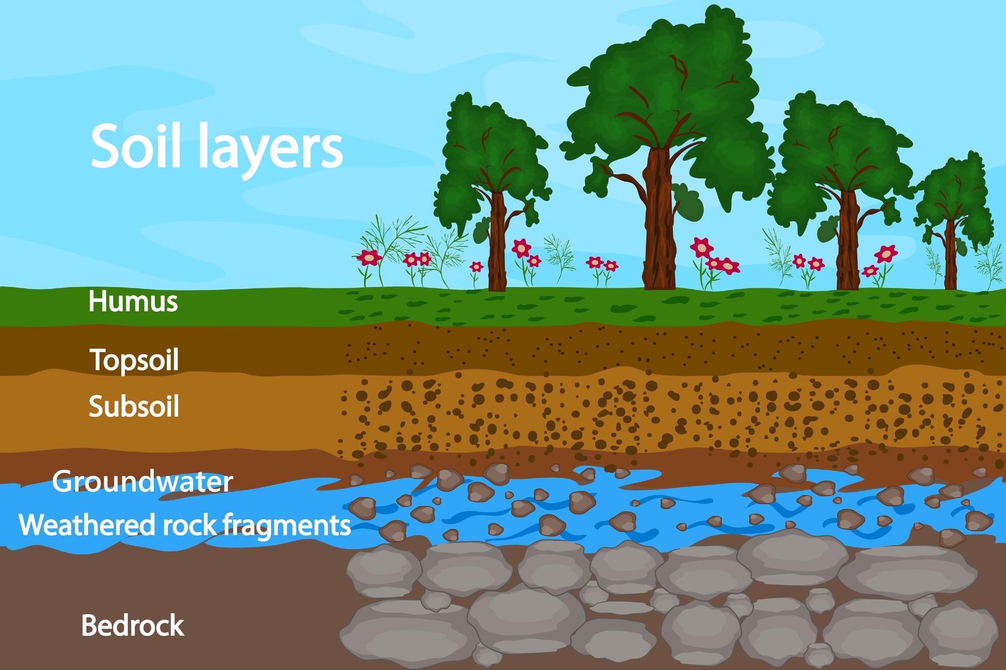 Soil Layers
