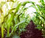 Use of Genetics in Agriculture