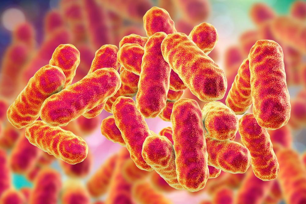 Serratia marcescens