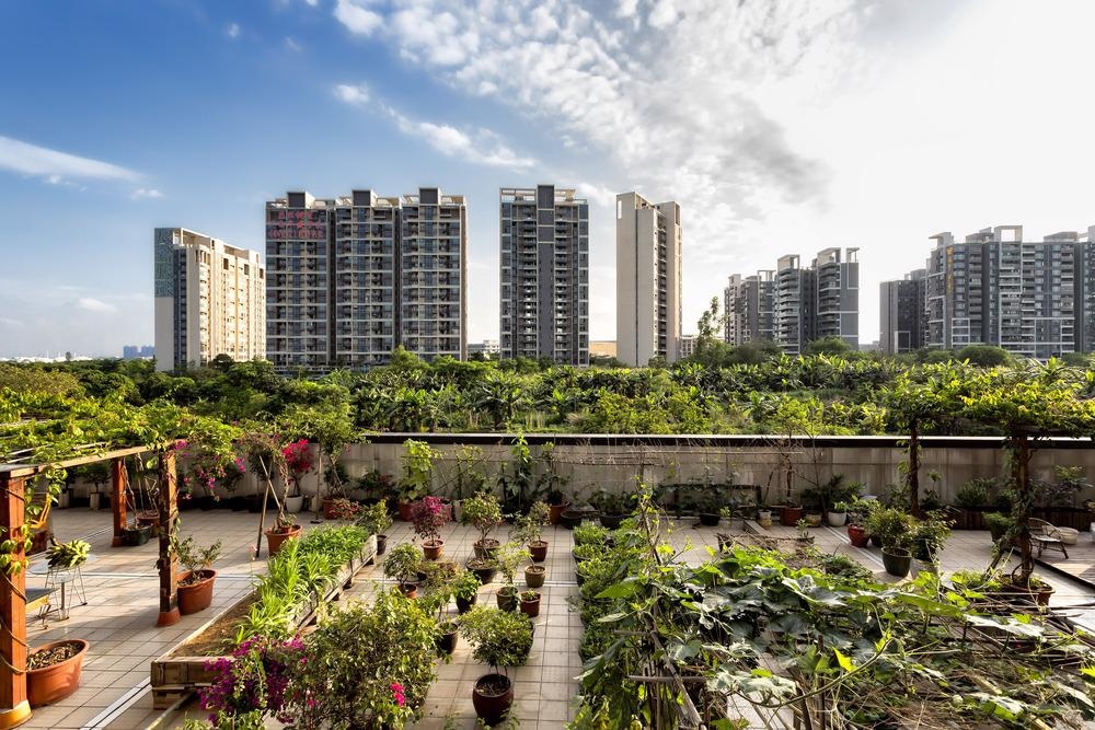 Urban Agriculture