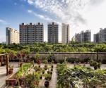 What is Urban Agriculture?