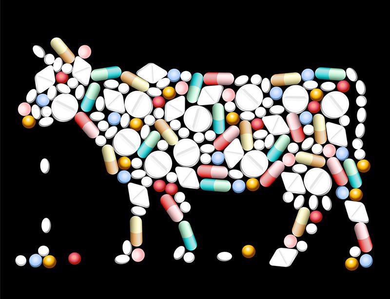 Antibiotics in Food