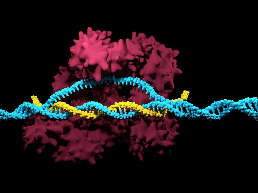 CRISPR Cas 9