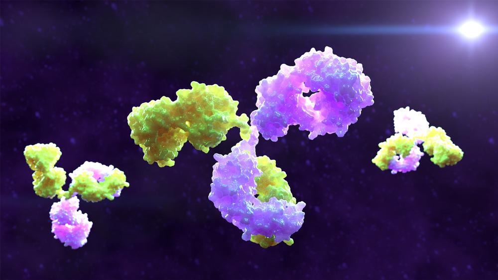 Monoclonal Antibodies