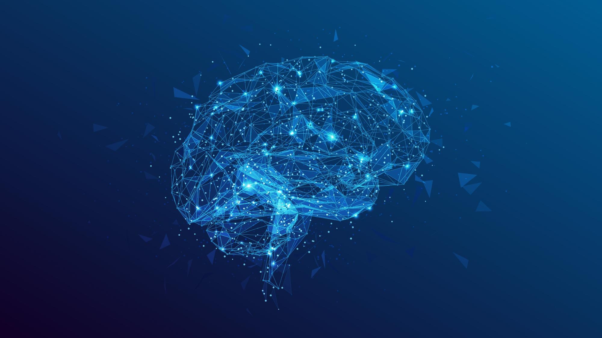 Brain