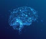 Microscopy’s Involvement in Brain Imaging