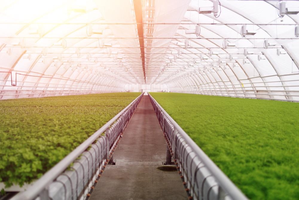 Food Production