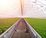 What does the Future of Food Look Like?