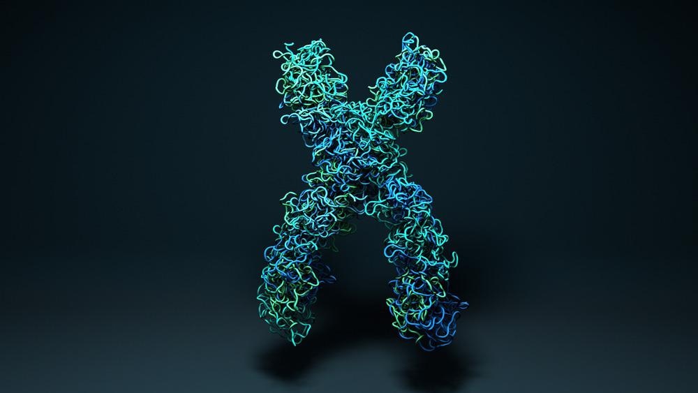 Chromosomes