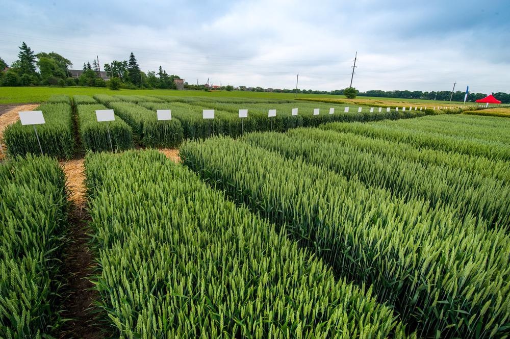 Crop Variation