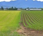 'Land Sparing' vs. 'Land Sharing' Agriculture