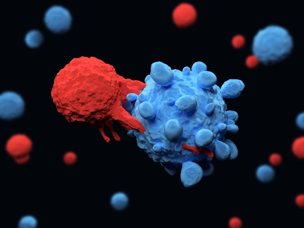 T cell and Cancer Cell