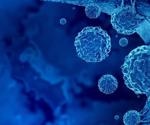 How do Cancer Cells Interact with Our Immune System?