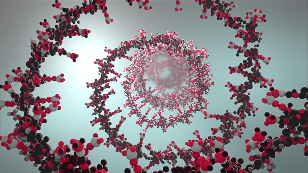 Nucleic Acid