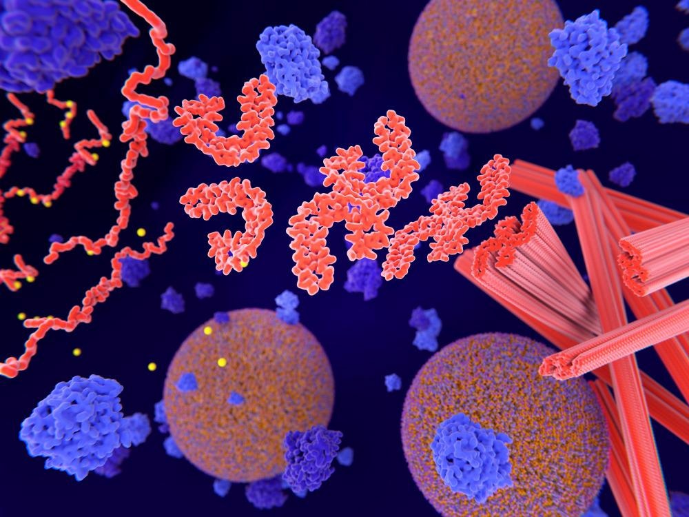 Tau Protein