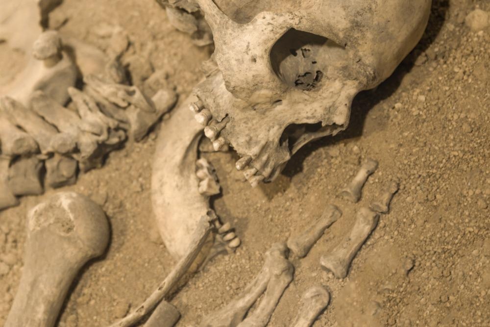 Ancient Bones