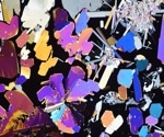 What are Polarized Light Microscopes and How Do They Work?