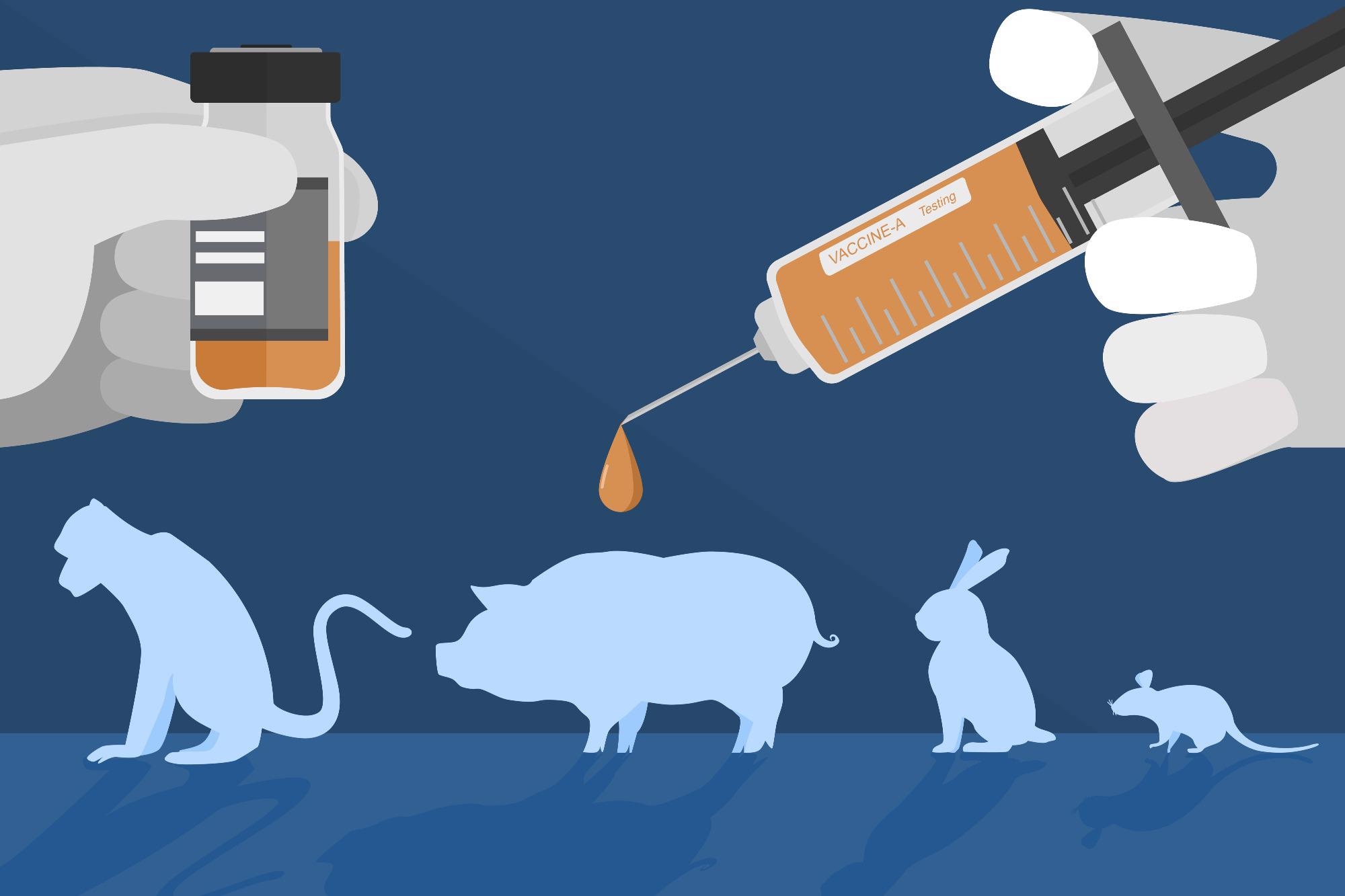 Animal Testing