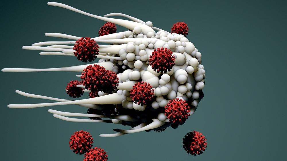Dendritic cells protecting the host from COVID-19