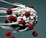 Immune Memory and COVID-19