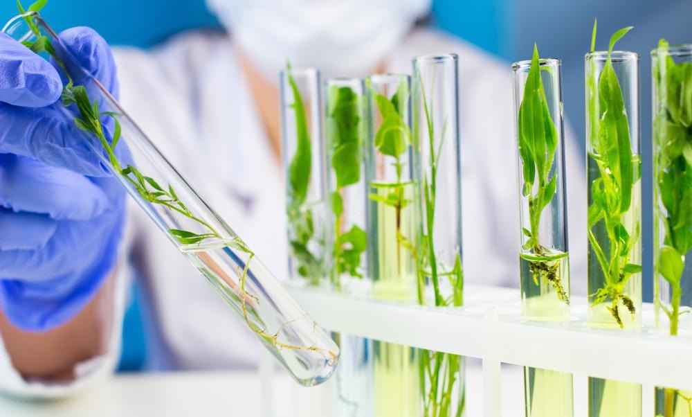 Nature Biotech