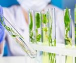 How is Biotechnology Inspired by Nature?