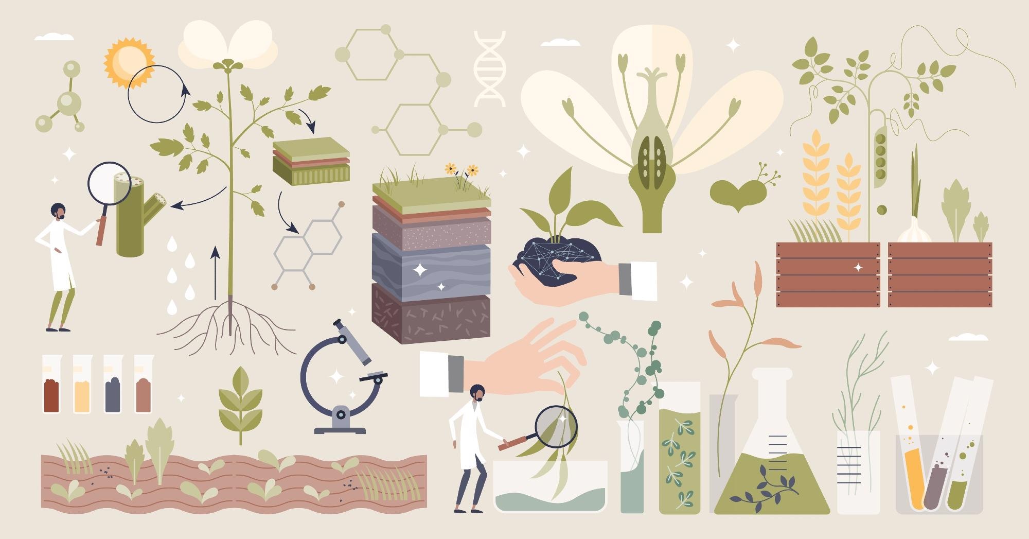 Seed Modification