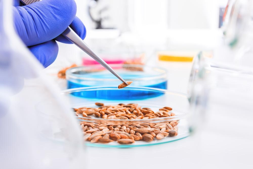 Seed Analysis