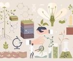 How can Genetically Modified Seeds Improve Food Security?