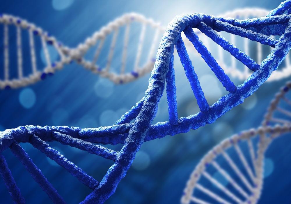 Pyramid DNA