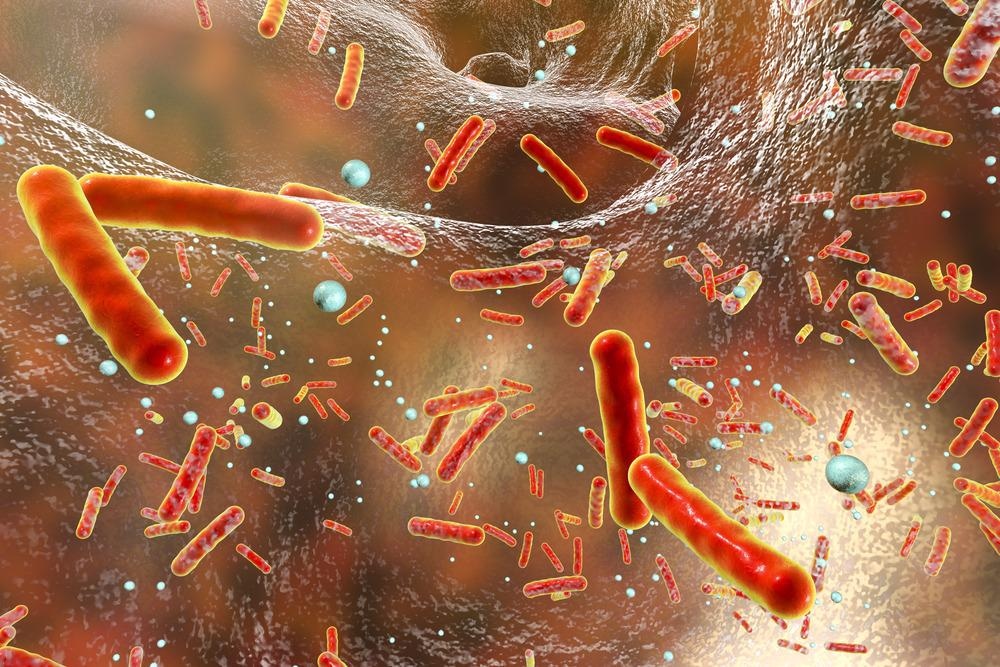 Antibiotic Resistance