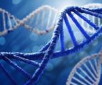 What is Pyramid DNA?