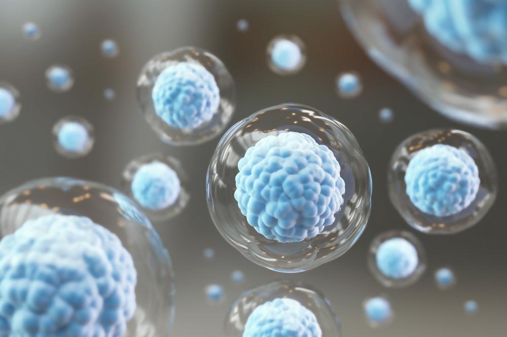 Stem Cell