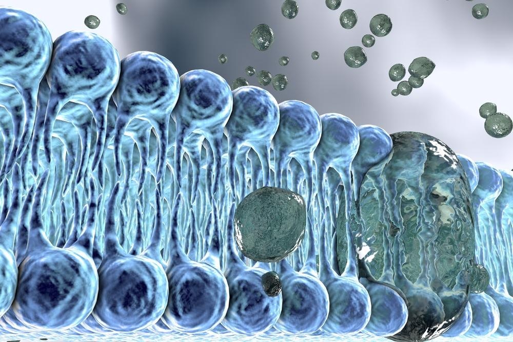 Cell membrane