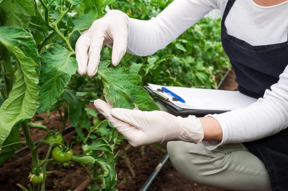 Crop Resistance