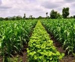 How are Crops Gaining Resistance?